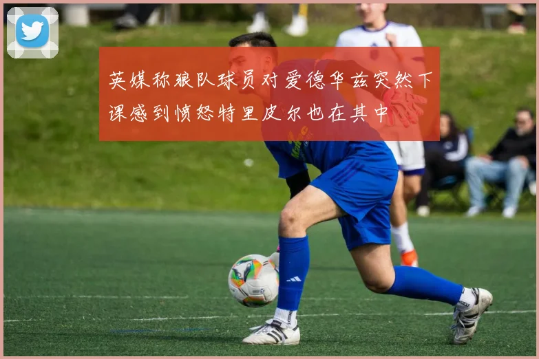 英媒称狼队球员对爱德华兹突然下课感到愤怒特里皮尔也在其中